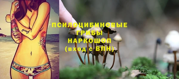 синтетический гашиш Дмитровск
