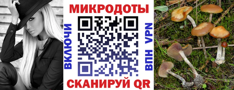 Псилоцибиновые грибы MAGIC MUSHROOMS  Купить  Дербент 