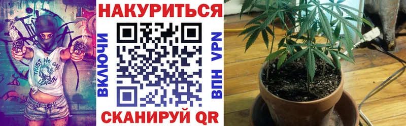Купить  Дербент  Конопля AK-47 